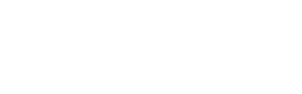 L33T digital agency